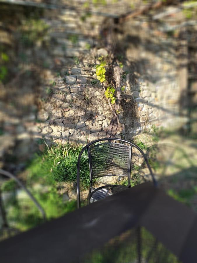Casa Mantel Holiday Home Panoramic View In Langhe نوفيلو المظهر الخارجي الصورة