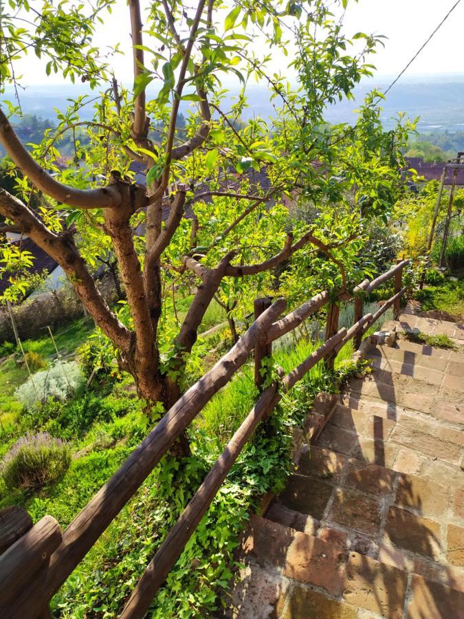 Casa Mantel Holiday Home Panoramic View In Langhe نوفيلو المظهر الخارجي الصورة